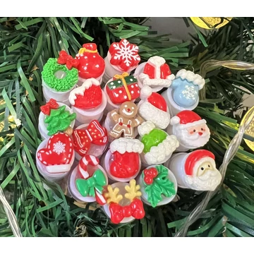 Christmas brush in a case